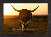 Longhorn Sunset Cattle Artwork by Summer Jackman