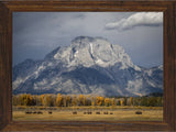 Where the Kings Roam Buffalo Mountains Framed Giclee canvas artwork by Summer Jackman