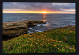 Sunset Cliffs of San Diego Canvas Artwork by Mickey Shannon