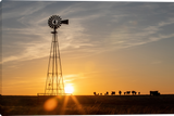 A scenic sunset landscape print featuring a silhouetted windmill on the left and a line of cows on the right, set against a warm orange and yellow sky.  Sunset on the Prairie Gallery Wrapped Giclee canvas art prints by Teri James Photo Artist