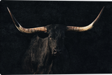 Back in Black Longhorn Cattle Gallery Wrapped giclee canvas art prints by Teri James Photo Artist