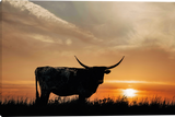 Longhorn Sundown Gallery Wrapped Giclee canvas art prints by Teri James Artist