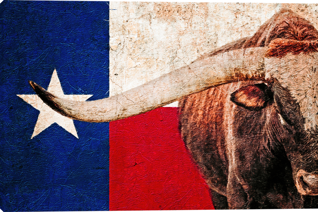 Texas Longhorn Gallery Wrapped Giclee canvas art prints by Teri James Photo Artist