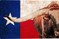 Texas Longhorn Gallery Wrapped Giclee canvas art prints by Teri James Photo Artist