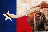 Texas Longhorn Gallery Wrapped Giclee canvas art prints by Teri James Photo Artist