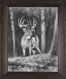 Custom Framed The Aiuppa Buck Giclee Canvas Print by Dallen Lambson