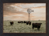 Watching Over The Herd Cattle Art Teri James