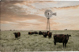 Watching Over the Herd - Gallery Wrapped giclee canvas prints by Teri James.
A herd of black and brown cattle stands in a grassy field under a large windmill against a dramatic sunset sky with warm peach, orange, and gray clouds.