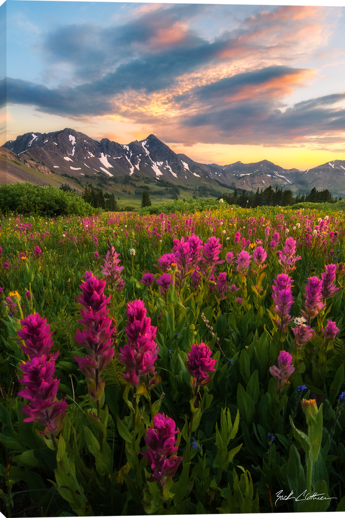Zack Clothier A Montana Moment Gallery Wrapped Giclee Canvas Art Prints by Zack Clothier