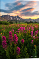 Zack Clothier A Montana Moment Gallery Wrapped Giclee Canvas Art Prints by Zack Clothier