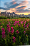 Zack Clothier A Montana Moment Gallery Wrapped Giclee Canvas Art Prints by Zack Clothier