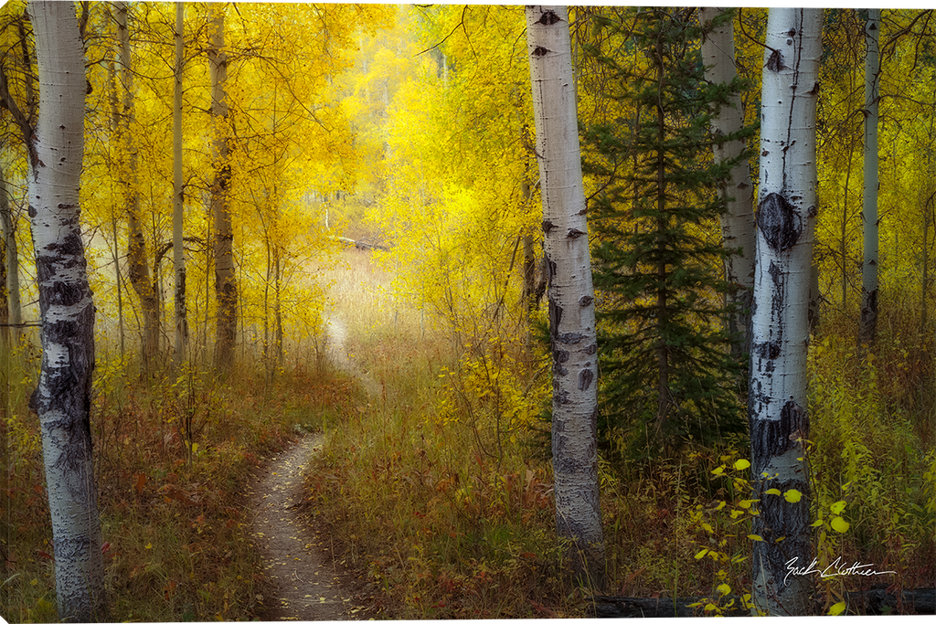 Autumn Passage Gallery Wrapped Giclee canvas art prints by Zack Clothier Artist