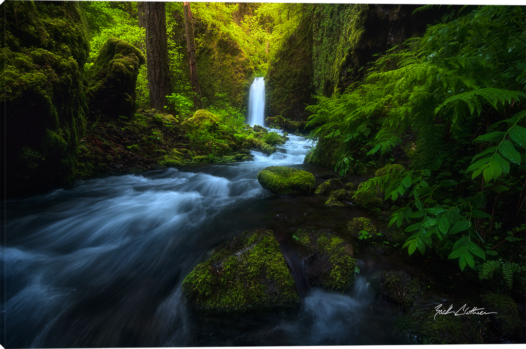 Land of the Lost Gallery Wrapped Giclee Canvas art prints by Zack Clothier Photo artist