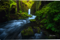 Land of the Lost Gallery Wrapped Giclee Canvas art prints by Zack Clothier Photo artist