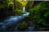 Land of the Lost Gallery Wrapped Giclee Canvas art prints by Zack Clothier Photo artist