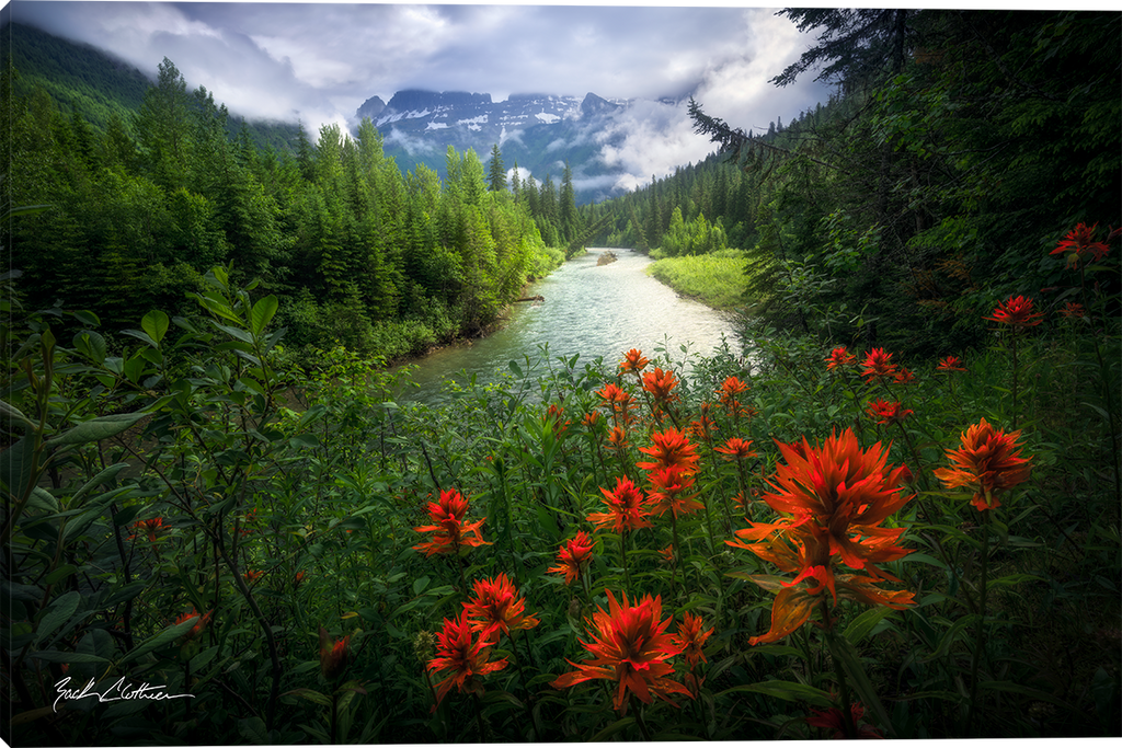 Natures Canvas Gallery Wrapped Giclee  canvas art prints by Zack Clothier Artist