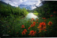 Natures Canvas Gallery Wrapped Giclee  canvas art prints by Zack Clothier Artist
