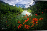 Natures Canvas Gallery Wrapped Giclee  canvas art prints by Zack Clothier Artist