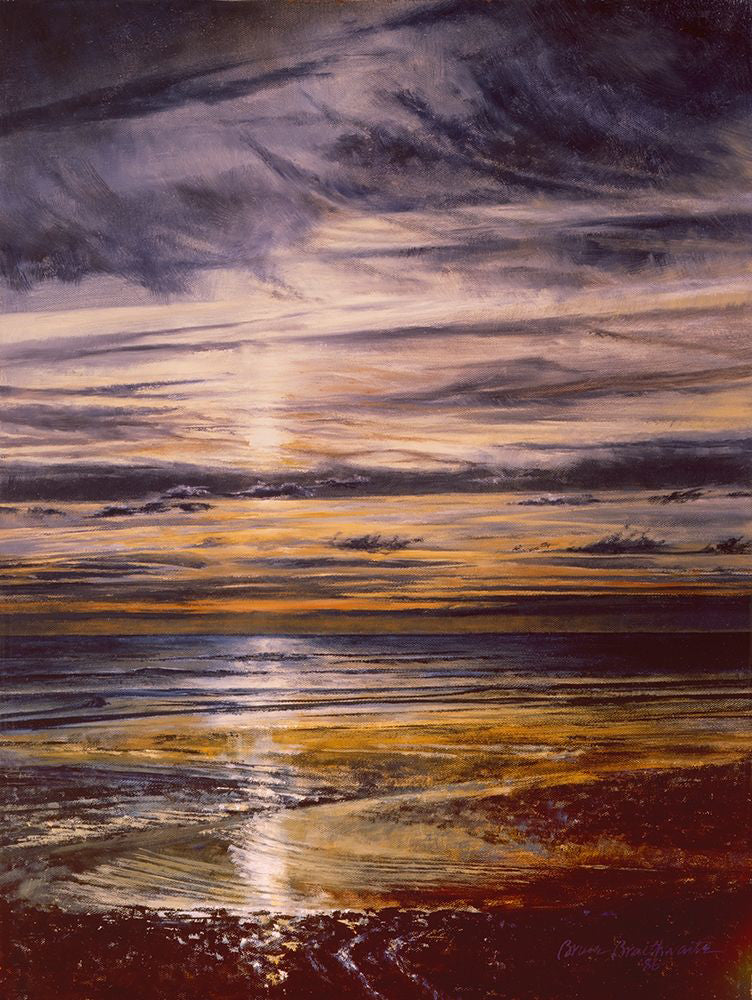 Sunrise of Cumberland Island Art Prints by Bruce Braithwaite
