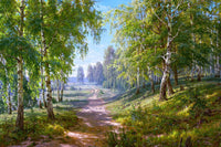 Birch Forest Art Prints by Sergej Basov