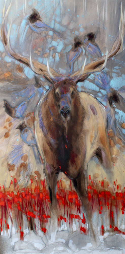 The Stag and the Stellers Jays Art Prints by Amy Lay Artist