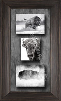 Bison Triple Framed canvas prints by Summer Jackson