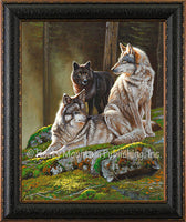 Browse Custom Framed Art Prints for the Collectors, Dallen Lambson
