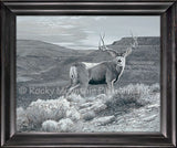 Badlands Ghost Framed Giclee Canvas by Dallen Lambson