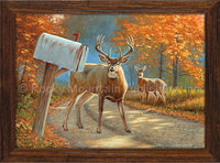 Dallen Lambson - Deer John Framed Canvas art prints