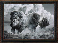Wild Buffalo Run - Muy Macho Framed Art Prints by Dallen Lambson