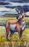 Antelope Colorful Wildlife Artwork by Ed Anderson