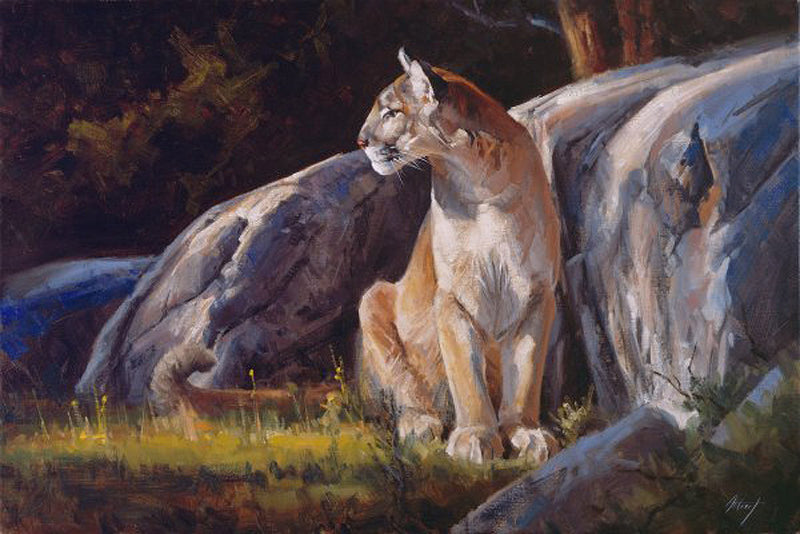 Late Afternoon Cougar Art Prints by Edward Aldrich