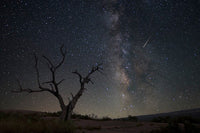 Enchanted Rock State Park - The Milky Way on a Summer Night by Rob Greebon