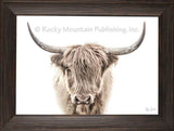 Fabio Custom Framed Longhorn Bull by Ryan Smith
