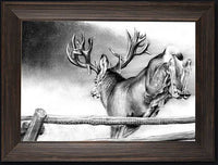 Wildlife Animal Art Prints on sale at Gallery4Collectors.com Wildlife Animal Art Prints on sale at Gallery4Collectors.com