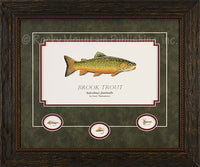 Brook Trout Framed Print by Gary Mansanarez