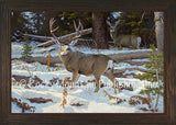 Deep Timber Sanctuary – Framed Giclee Canvas by Hayden Lambson