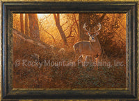 Evening Encounter – Framed Giclee Canvas by Hayden Lambson