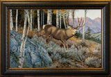 Evening Shadows – Framed Giclee Canvas by Hayden Lambson