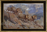 Home of the Pika – Framed Giclee Canvas by Hayden Lambson