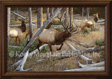 Maneuvering The Pines – Framed Giclee Canvas by Hayden Lambson
