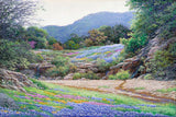 Hill Country Color Texas Landscape artwork by Larry Dyke