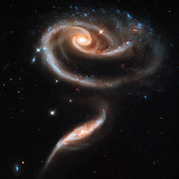A Rose Made of Galaxies by Hubble Telescope