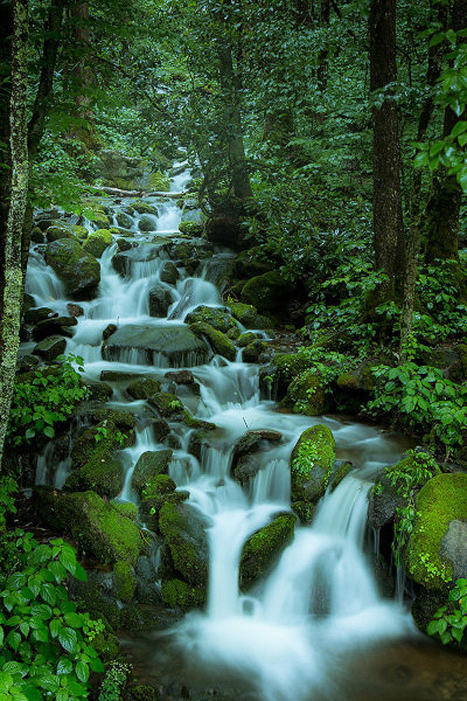 Falling in the Smokies – Art Prints by Jason Clemmons