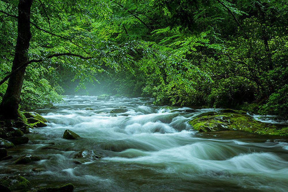 Streaming in the Smokies - Art Prints by Jason Clemmons