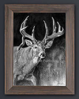 Wildlife Animal Art Prints on sale at Gallery4Collectors.com Wildlife Animal Art Prints on sale at Gallery4Collectors.com