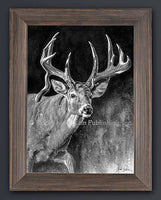 Jaw Dropper Deer Giclee Canvas Art Prints by Joel Pilcher