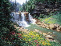 Waterfall by Larry Dyke