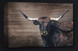 Longhorn Canvas Wrapped Art Prints by Mitchel Mansanarez