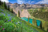 Lower Blue Lakes Wildflowers 2 Colorado art prints by Rob Greebon